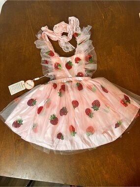 Pink Strawberry Embroidered Tulle Dress